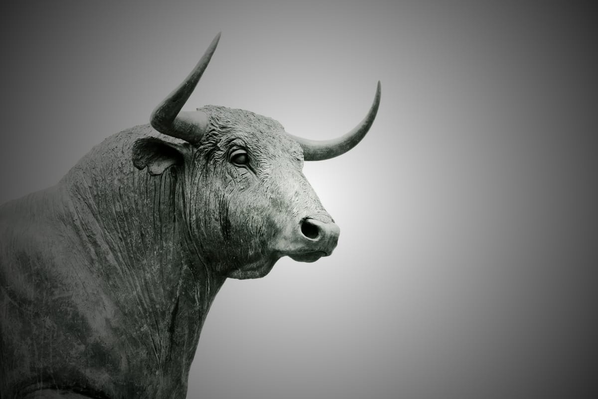 Understanding the Dynamics of a Bull Market